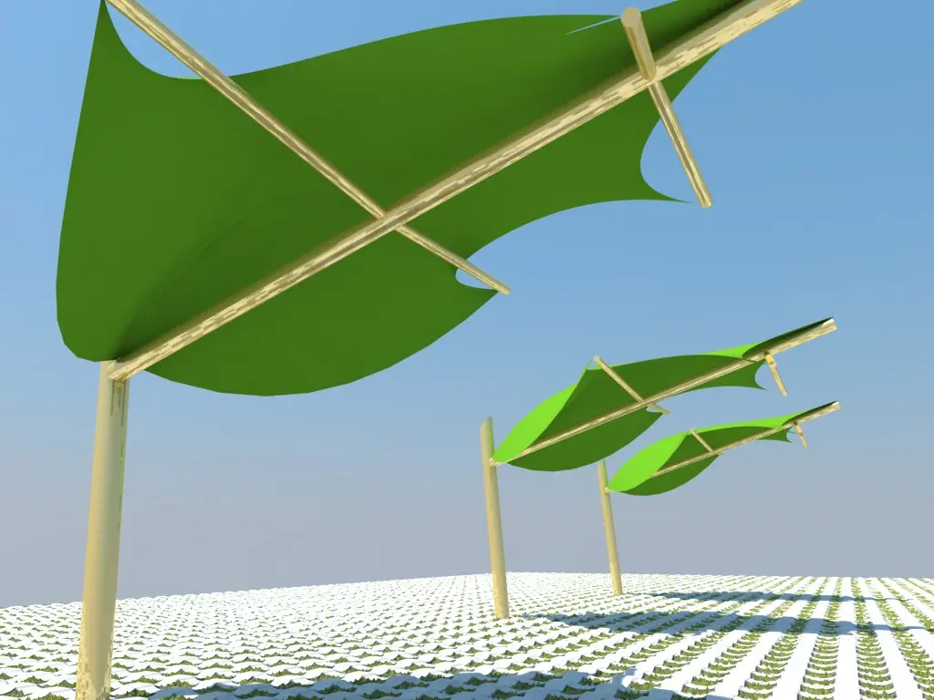 ESTEVA. MAPLE TENT (2).webp