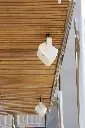 SALOU 011.webp