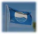 blue flag.webp