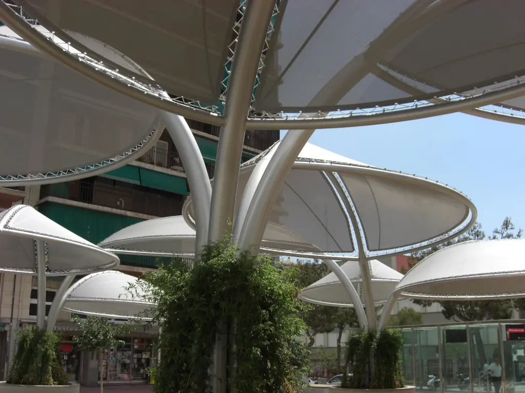 ESTEVA. FICUS TENT. HOSPI 2007 (13).webp