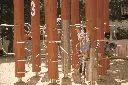 mowgli alta resolucion (1).webp