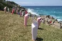 penguins.webp
