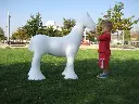 Trot